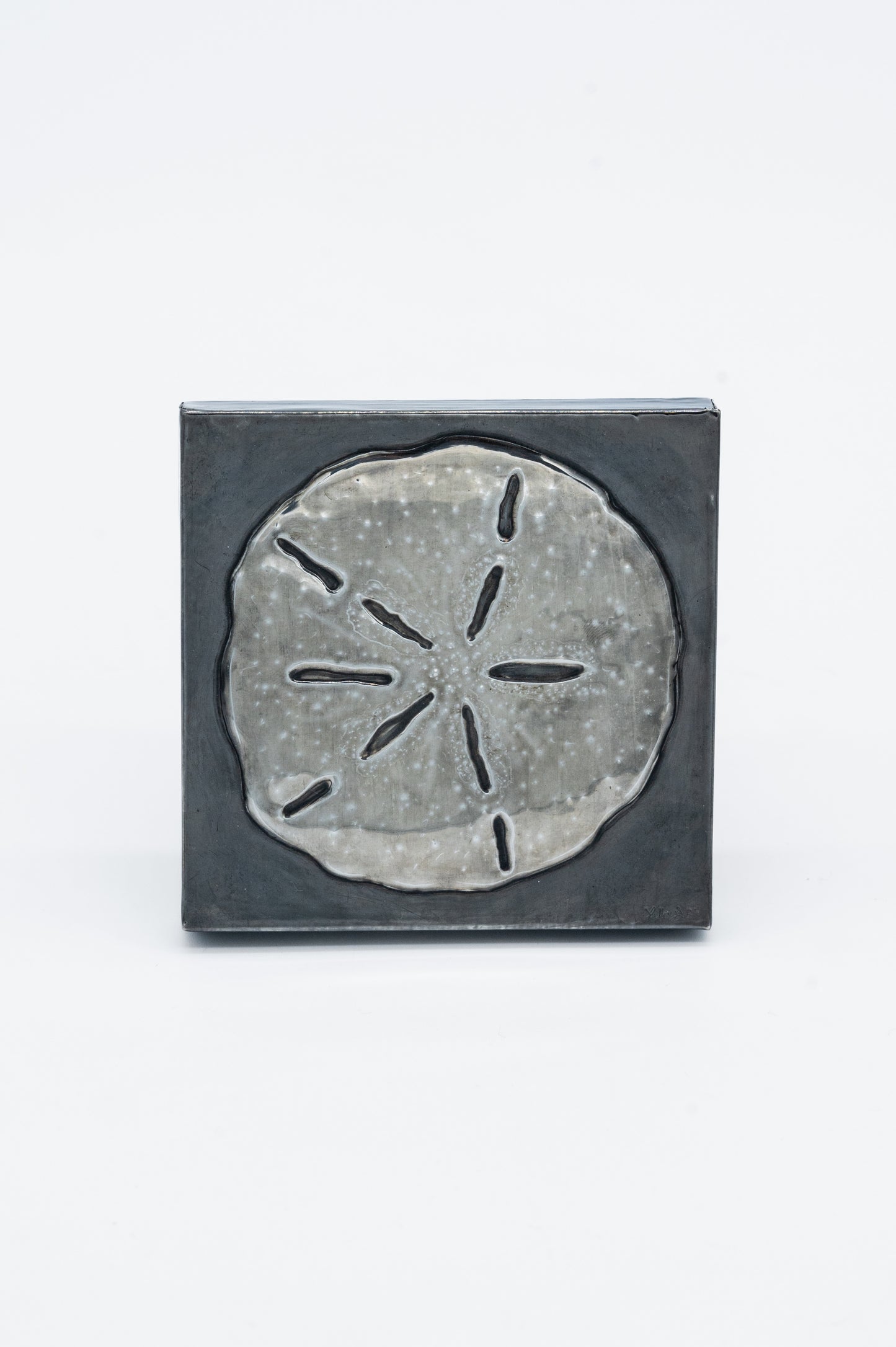 Sanddollar